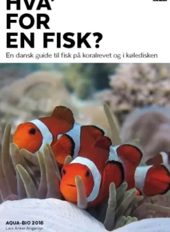 Hva' For En Fisk?