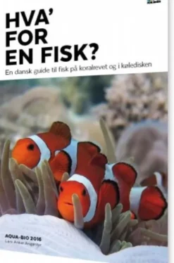 Hva' For En Fisk?