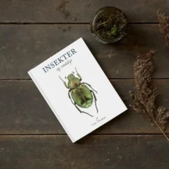 Insekter Og Andre Smådyr