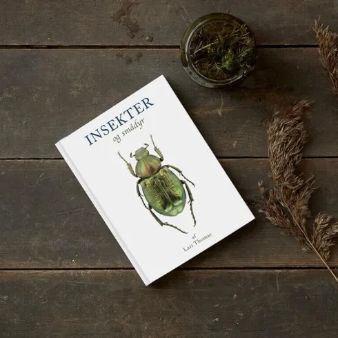 Insekter Og Andre Smådyr