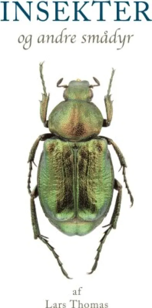 Insekter Og Andre Smådyr