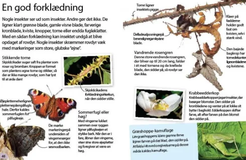 Insekter Og Edderkopper