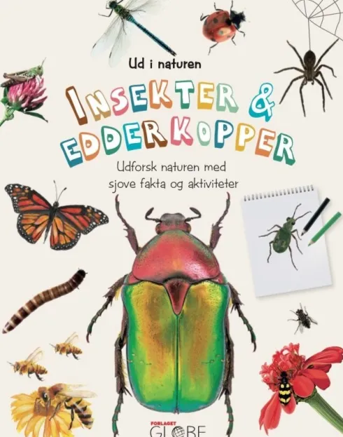 Insekter Og Edderkopper