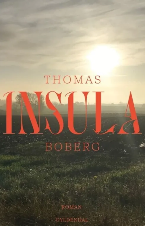 Insula