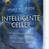 Intelligente Celler