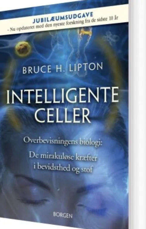 Intelligente Celler
