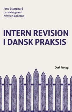 Intern Revision I Dansk Praksis
