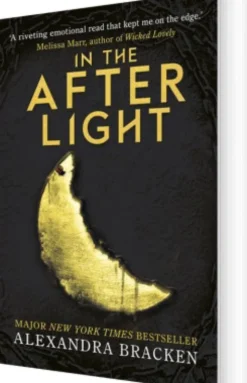 In The Afterlight