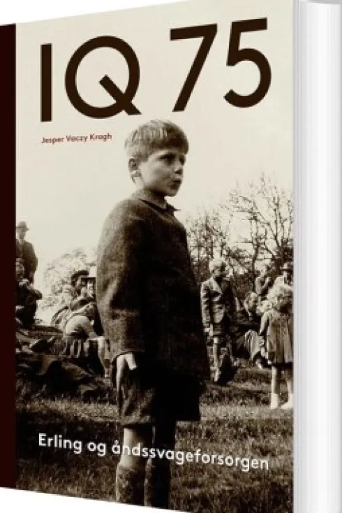 Iq 75