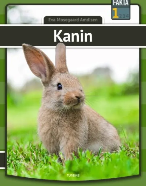 Kanin