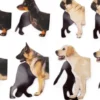 Kikkerland - Magnetisk Bogmærke - Hund