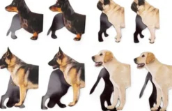 Kikkerland - Magnetisk Bogmærke - Hund