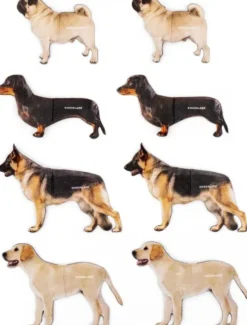 Kikkerland - Magnetisk Bogmærke - Hund
