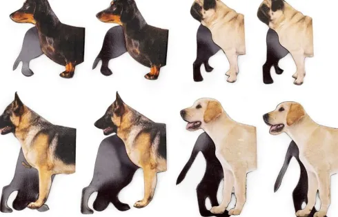Kikkerland - Magnetisk Bogmærke - Hund