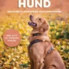 Klog Som En Hund