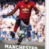 Klubhold - Manchester United Fc, Blå Fagklub