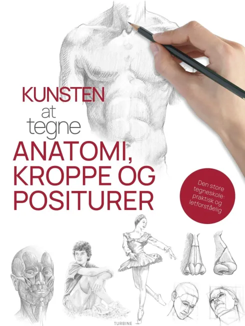 Kunsten At Tegne Anatomi, Kroppe Og Positurer