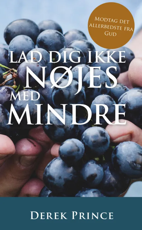 Lad Dig Ikke Nøjes Med Mindre