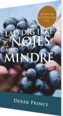 Lad Dig Ikke Nøjes Med Mindre