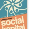 Ledelse Med Social Kapital I Den Offentlige Sektor