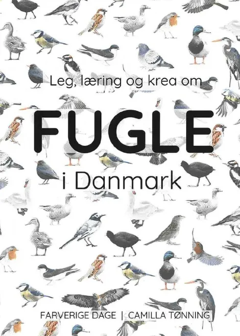 Leg, Læring Og Krea Om Fugle I Danmark