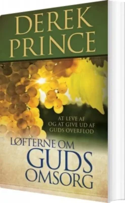 Løfterne Om Guds Omsorg