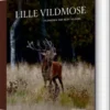 Lille Vildmose