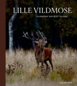 Lille Vildmose