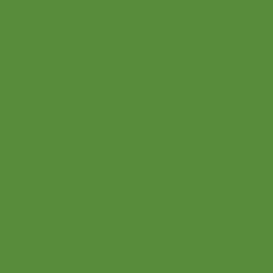 Linoleumssværte - Grøn - 250 ML