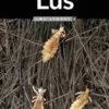 Lus, Læs Lydret Fakta