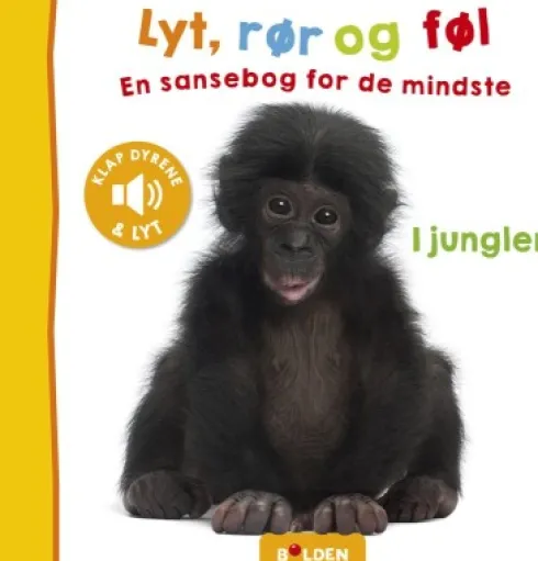 Lyt, Rør Og Føl: I Junglen