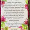 Madame Lenormand - Magic And Fairy Tales