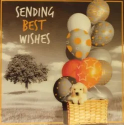 Magni - 3D Kort - Best Wishes - Hundehvalp