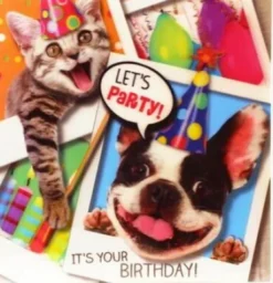 Magni - 3D Kort - Let's Party - Dyr