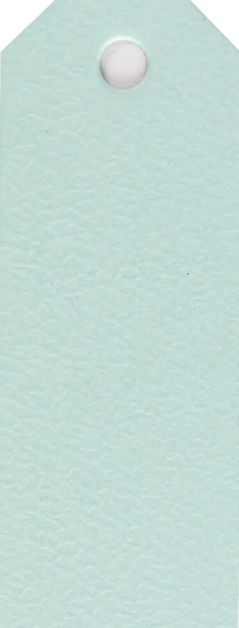 Manillamærker - Str. 3X8 CM - 220 G - Lyseblå - 20 Stk