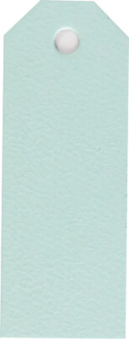 Manillamærker - Str. 3X8 CM - 220 G - Lyseblå - 20 Stk