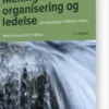 Meningsskabelse, Organisering Og Ledelse