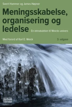 Meningsskabelse, Organisering Og Ledelse