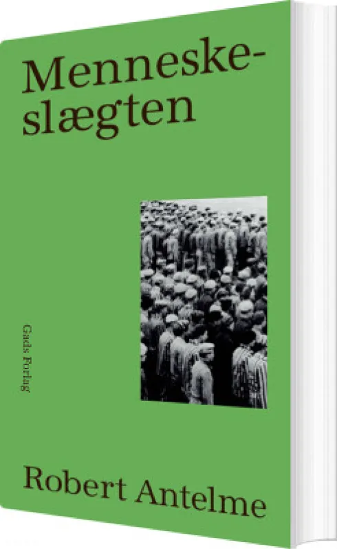 Menneskeslægten