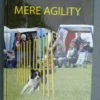 Mere Agility