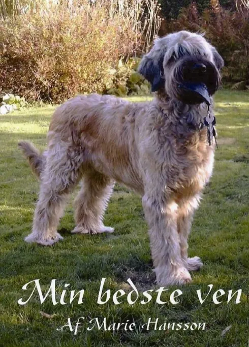 Min Bedste Ven