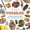 Min Bog Om Fossiler