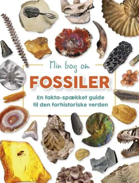 Min Bog Om Fossiler