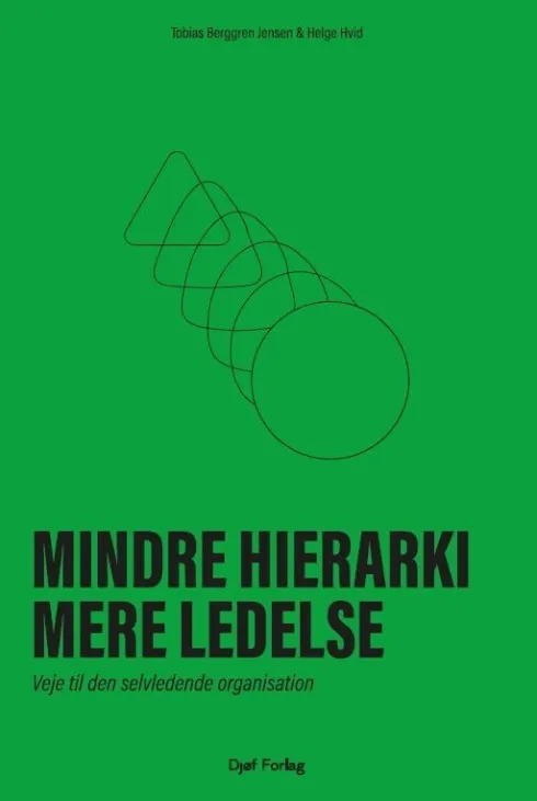 Mindre Hierarki, Mere Ledelse