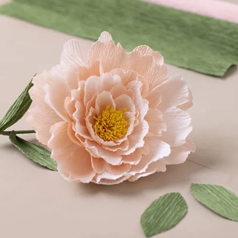 Mini DIY Kit Crepepapir - Pæon - Stræk/Crepe 180% - 105 G