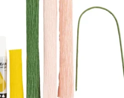 Mini DIY Kit Crepepapir - Pæon - Stræk/Crepe 180% - 105 G