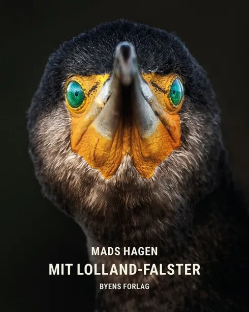 Mit Lolland-Falster
