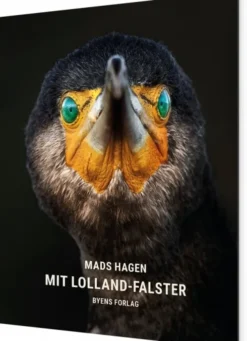 Mit Lolland-Falster