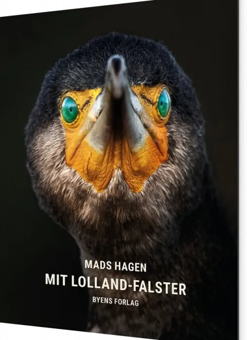 Mit Lolland-Falster