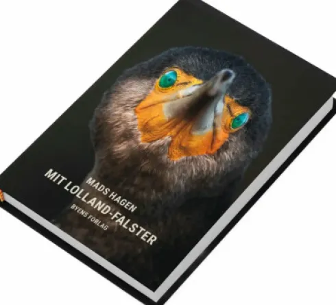 Mit Lolland-Falster